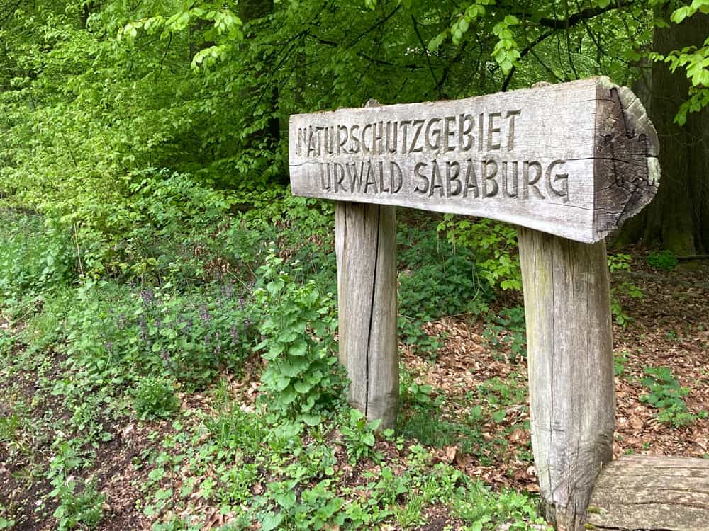 Hülzerne Beschilderung im Naturschutzgebiet Urwald Sababurg
